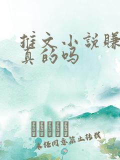 推文小说赚钱是真的吗