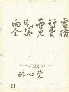 向风而行电视剧全集免费播放