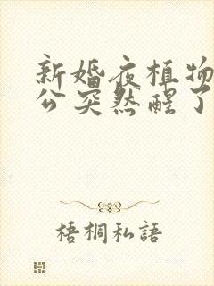 新婚夜植物人老公突然醒了