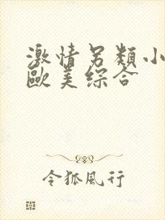 激情另类小说乱欧美综合