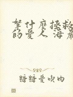 拿什么拯救你我的爱人 海岩