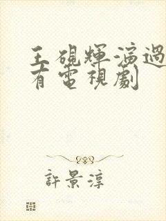 王砚辉演过的所有电视剧