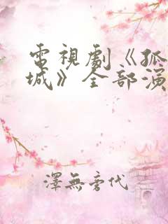 电视剧《孤战迷城》全部演员