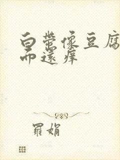 白带像豆腐渣下面还痒