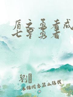 盾之勇者成名录七星勇者