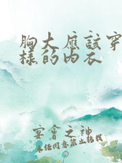 胸大应该穿什么样的内衣