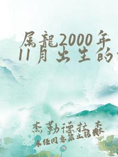 属龙2000年11月出生的命运