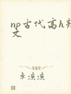 np古代高h辣文