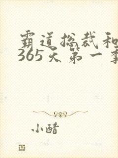 霸道总裁和我的365天第一季免费