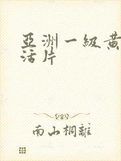 亚洲一级黄色生活片