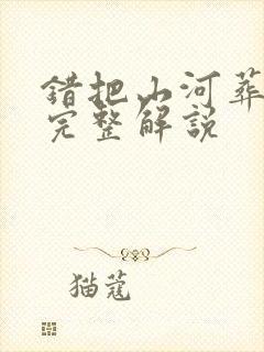 错把山河葬相思完整解说