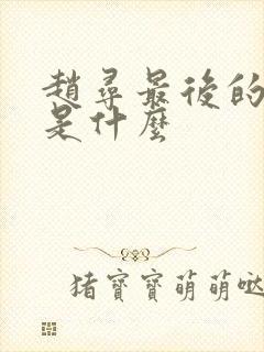 赵寻最后的结局是什么