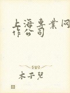 上海专业网页制作公司