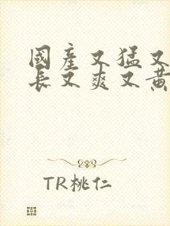 国产又猛又粗又长又爽又黄视频