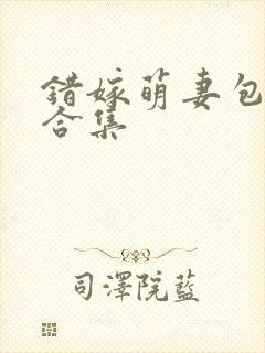 错嫁萌妻包甜的合集