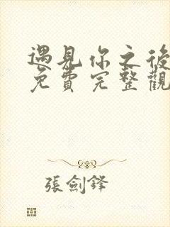 遇见你之后短剧免费完整观看高清