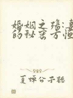 婚姻之殇:妻子的秘密方恒的小说
