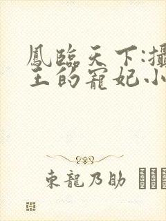 凤临天下:摄政王的宠妃小说