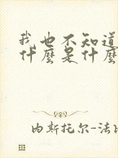 我也不知道爱你什么是什么歌