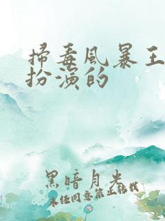 扫毒风暴王奇谁扮演的