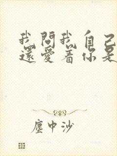 我问我自己是否还爱着你是什么歌