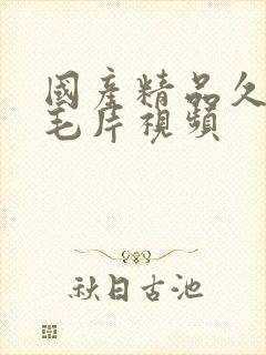 国产精品久久久毛片视频