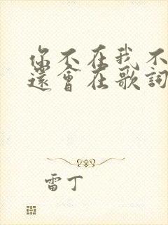 你不在我不在谁还会在歌词