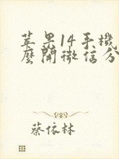 苹果14手机怎么开微信分身