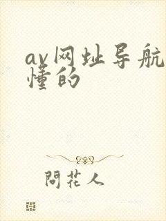 av网址导航你懂的