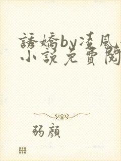 诱娇by凌风起小说免费阅读