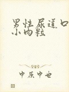 男性尿道口边有小肉粒