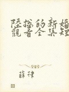 陆总的新婚哑妻观看全集短剧免费