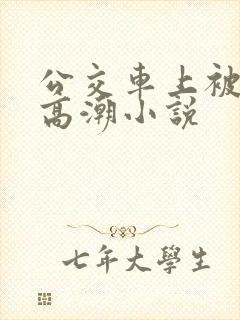 公交车上被插到高潮小说