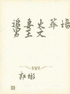 追妻火葬场的双男主文