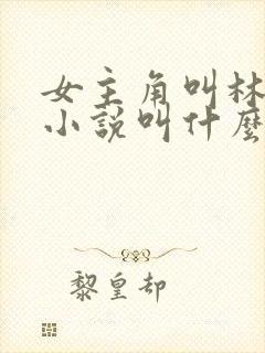 女主角叫林晚的小说叫什么名字