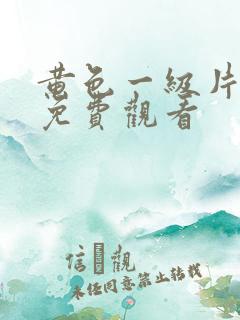 黄色一级片久久免费观看