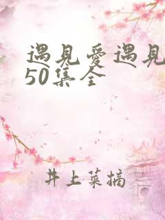 遇见爱遇见幸福50集全