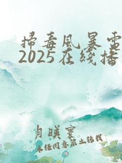 扫毒风暴电视剧2025在线播放免费观看全集