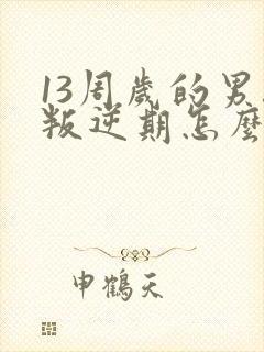 13周岁的男孩叛逆期怎么办