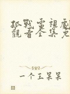 孤战电视剧在线观看全集免费