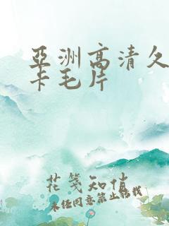 亚洲高清久久不卡毛片