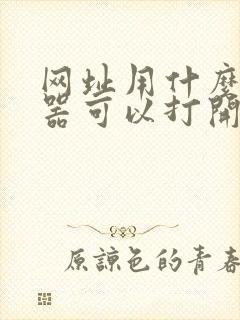 网址用什么浏览器可以打开