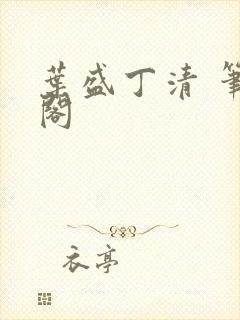 叶盛丁清 笔趣阁