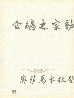 企鹅之家动画片