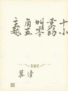 主角叫袁十三穿越五零的小说