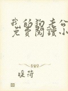 我的狗老公李淑免费阅读小说全文无