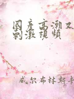 国产高潮又爽又刺激视频