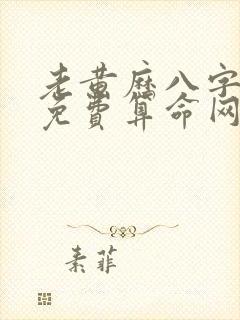 老黄历八字算命免费算命网