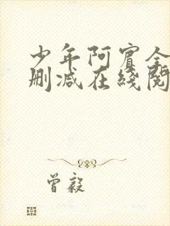 少年阿宾全文无删减在线阅读