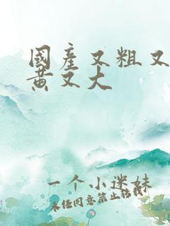 国产又粗又爽又黄又大